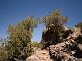 Hike to the River : New Mexico